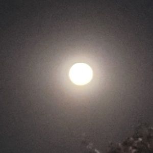 Meet your Posher, Alba